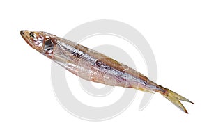 Salted-dried capelin fish