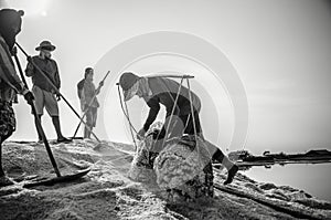 Salted farm labors