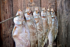 Salted fish