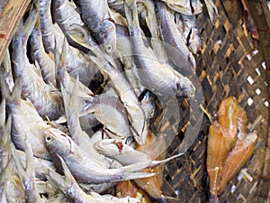 Salted fish On the bamboo grate