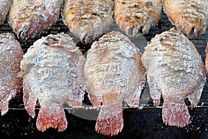 Salted Fish on the Charcoal Grill