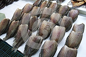 Salted Fish