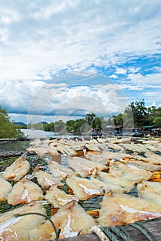 Salted fish that is sunlight and sky.