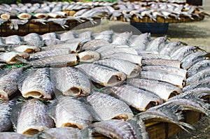 Salted fish in sunshine on net