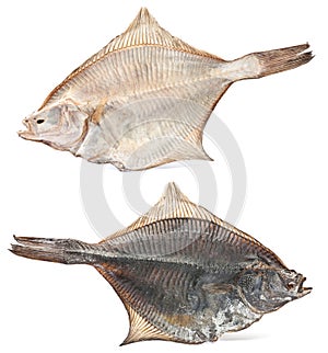 Salted flatfish