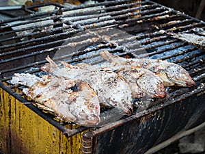 Salted grill fish, Thai food culture