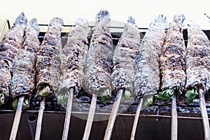 Salted grill snakehead fish