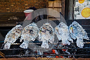 Salted grilled fish