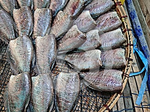 Salted Headless Gaourami Fish in Basket For Sale at Market Stall