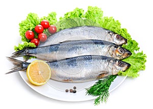 Salted herring on a plate