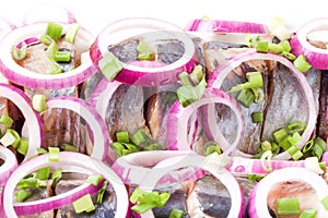 Salted herring with rings of red onion rings on oval plate on a light background . Marinated sliced fish. Traditional russian