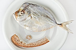 Salted moonfish with crust of bread