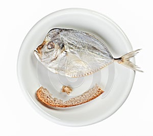 Salted moonfish with crust of bread on white plate