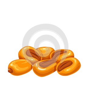 Salted roasted corn nuts