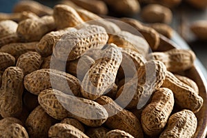 Salted Roasted Shelled Peanuts