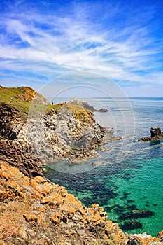 Saltee island landscape