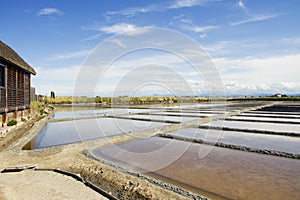 Saltern of Cervia photo