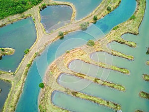 Salterns, areas with hypersaline water for natural salt-works, near Les Sables d\'Olonne, Pays de la Loire, France