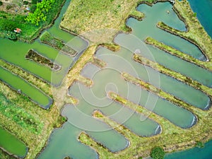 Salterns, areas with hypersaline water for natural salt-works, near Les Sables d\'Olonne, Pays de la Loire, France