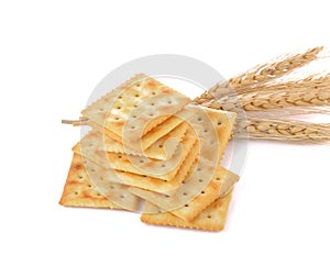 Saltine cracker on white background