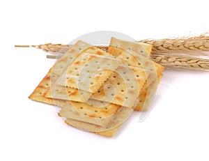 Saltine cracker on white background