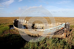 Saltmarsh whaler photo