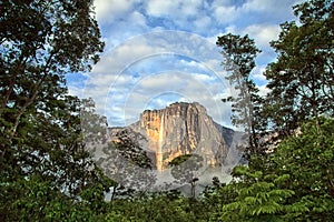 Salto Angel Falls in the soft light on early morning