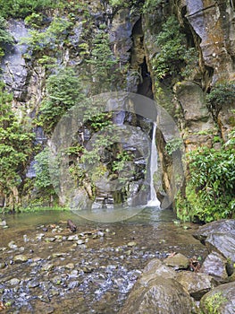 Salto do Cabrito beautiful waterfall at hiking trail falling a from rock cave in green forest, Sao Miguel, Azores photo