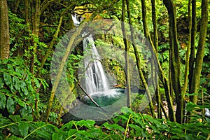 Salto do Prego waterfall, Azores, Portugal