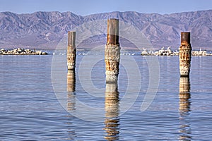 Salton Sea Bombay Beach photo