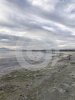 Salton Sea with clouds and birds