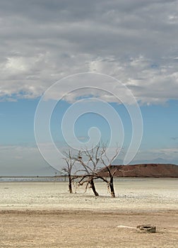 Salton Sea Salt Flats and Red Hill