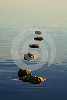 Salton Sea Stumps