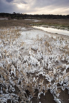 Saltpeter on the floor of a lagoon in a semi desert environment, La Pampa province,