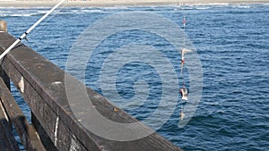 Saltwater angling on pier, fishing tackle or gear. California USA. Sea ocean water, rod or spinning.