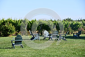 Saltwater Farm Vineyard in Stonington, Connecticut