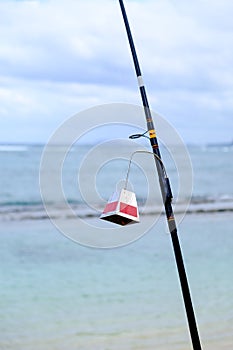 Saltwater Fishing Pole and Ocean