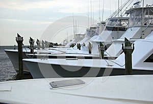 Saltwater Fishing Sport Boats