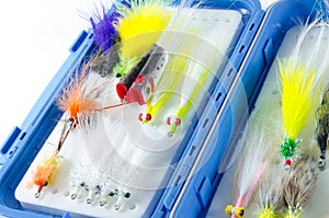 Saltwater Fly box with Flies