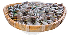 Saltwater Mussel In Wicker Tray V