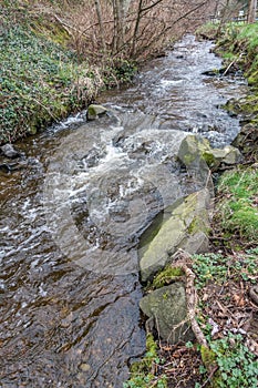 Saltwater Park Stream 2