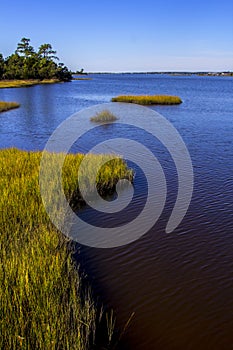 Saltwater Tidal Marsh in the Croatan National Forest, North Carolina