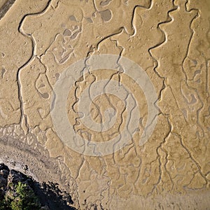 Saltwater Veins in Sandy Mud Flats Aerial Top View