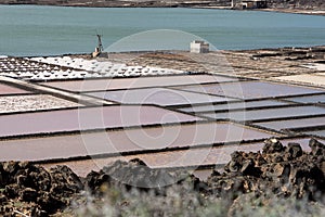 Saltworks in Lanzarote. Salinas de Janubio. Canary Islands