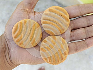 A salty biscuit in my hand testy biscuits