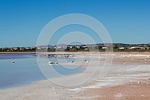 Salty lake coast landscape in shiny day