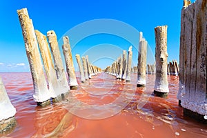 The salty lake with pink water and the beach from salt. Old logs pier on Lake Sasyk in the Crimea