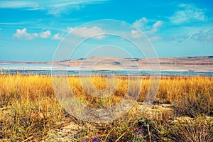 Salty lake in prairie