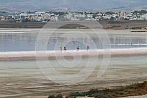 Salty lake and tourists on coast edge. Larnaca, Cyprus