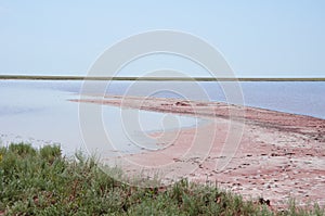 Salty shore in Kherson region, Ukraine, pink water